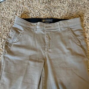 Democracy size 6, dark tan Stitch Fix